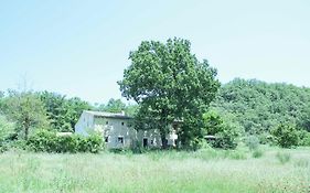 Maison de vacances, calme garanti